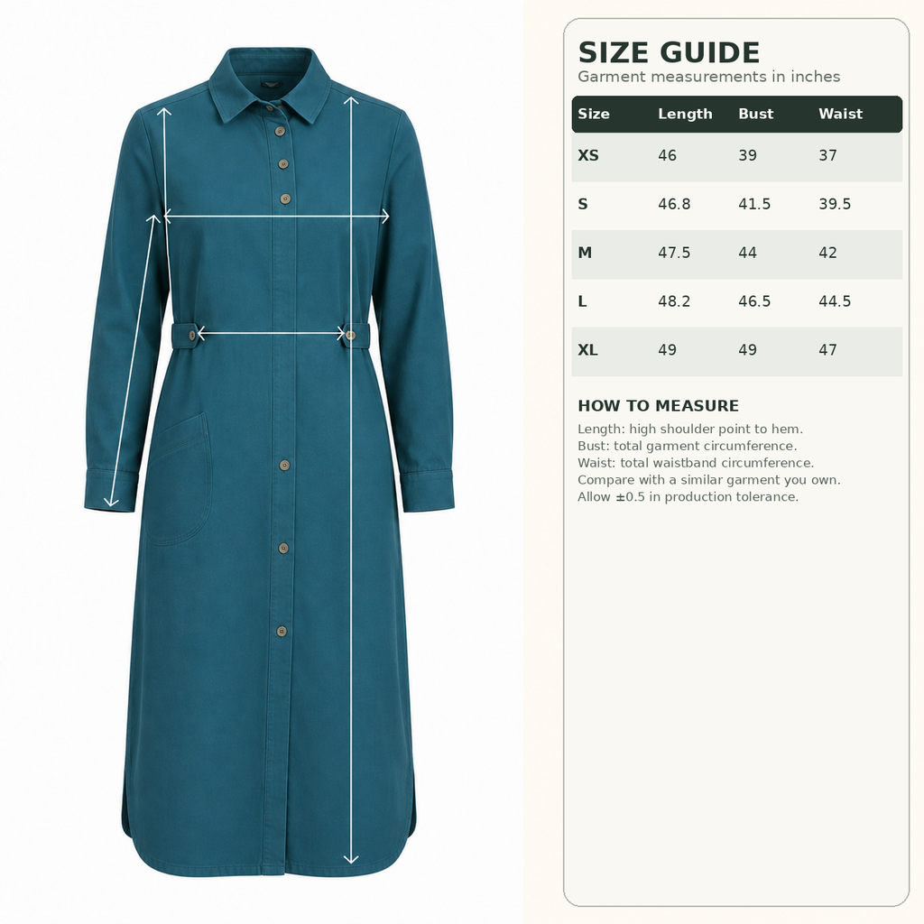 Crosscurrent Shirt Dress